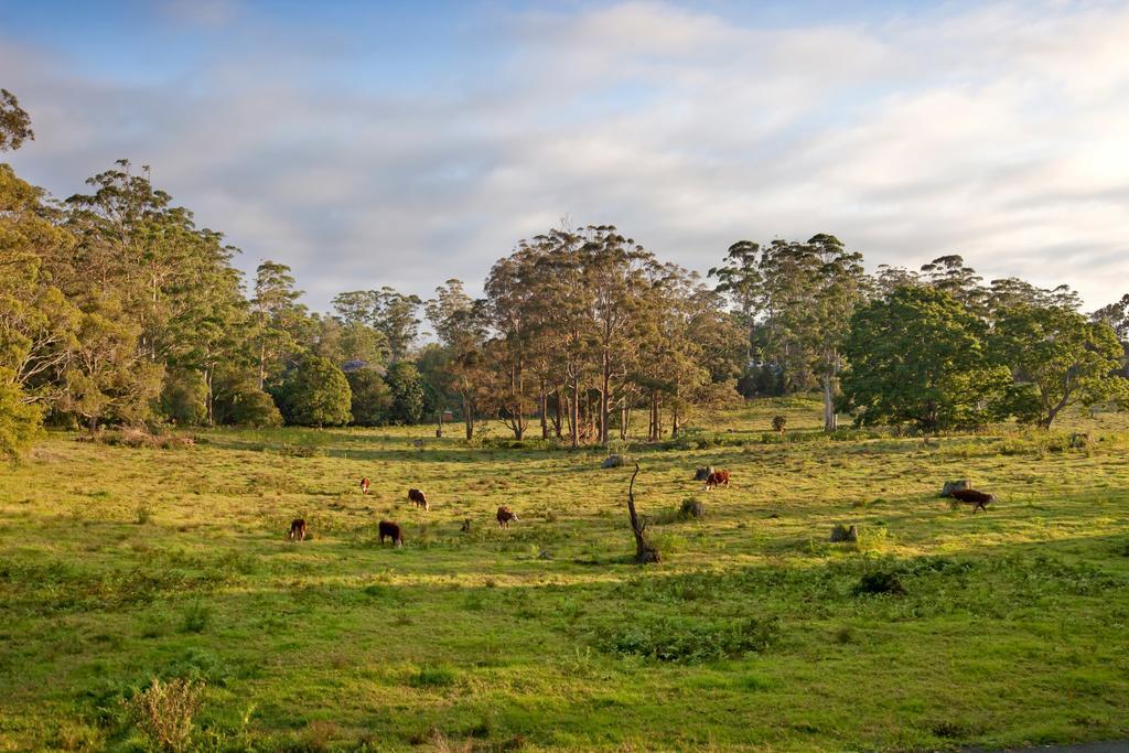 The Castle On Tamborine Hotel Mount Tamborine Exterior foto